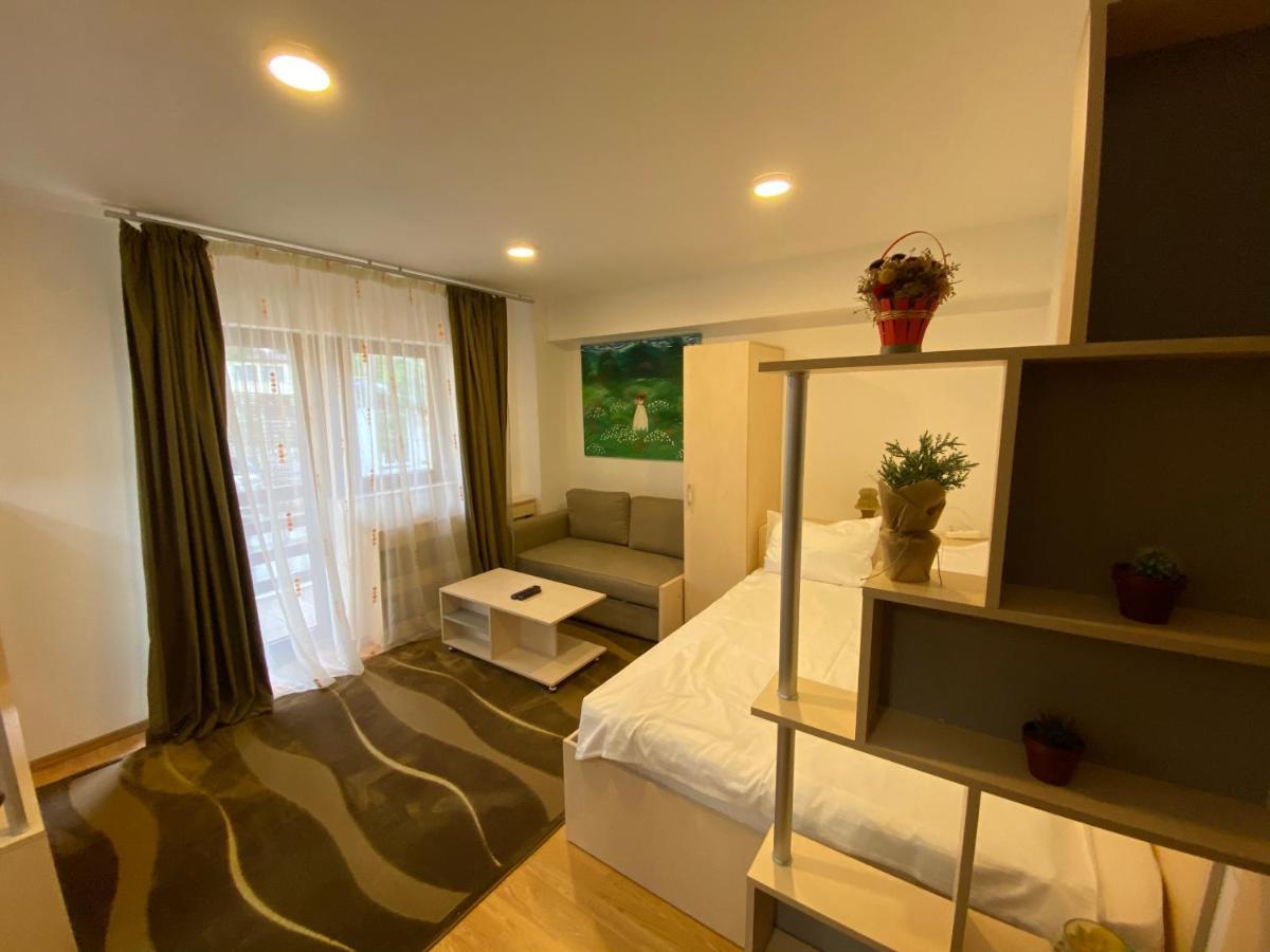 Sinaia Chic Minisuite Mirage-Self Check-In&Free Parking المظهر الخارجي الصورة