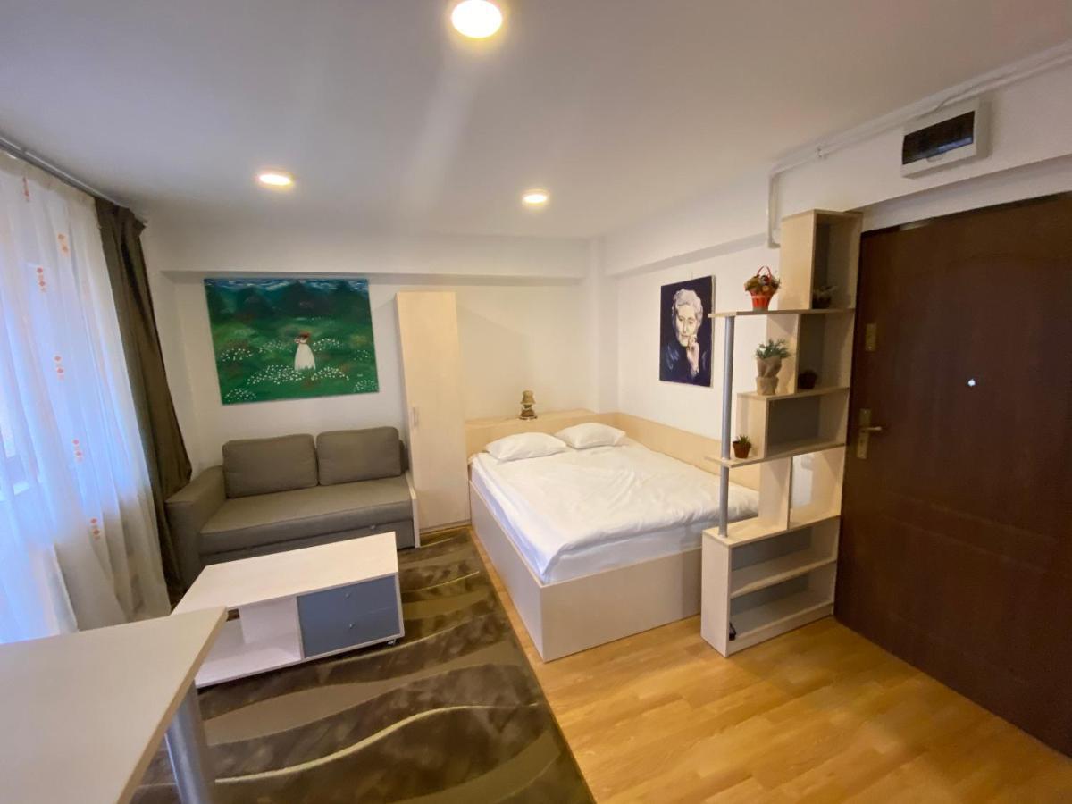 Sinaia Chic Minisuite Mirage-Self Check-In&Free Parking المظهر الخارجي الصورة